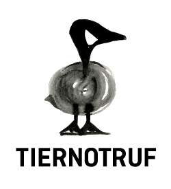 Tiernotruf e.V. Düsseldorf Logo